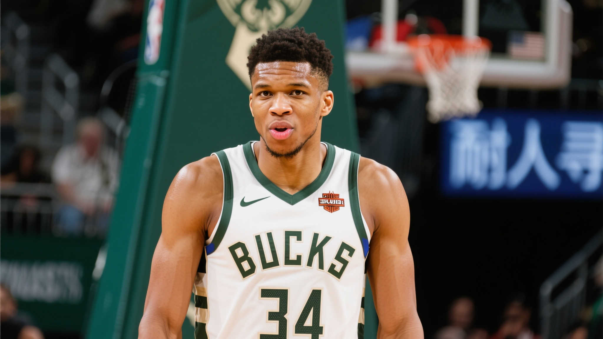 也体现了欧 也体现了欧